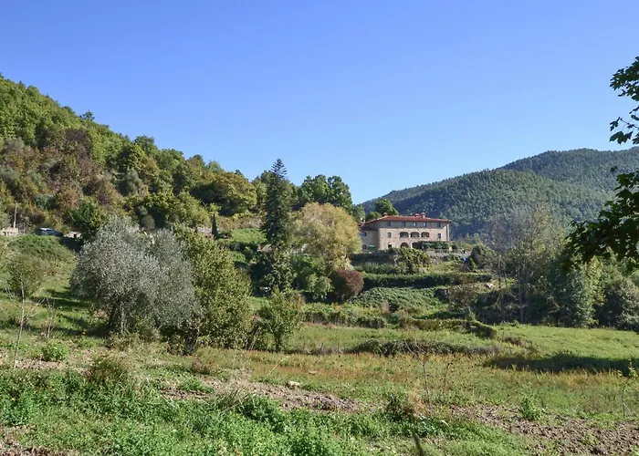 Pet Friendly In With Wifi Apartamento *